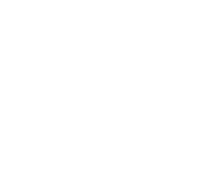 SWAN GARDEN HOME SERVICES LLC